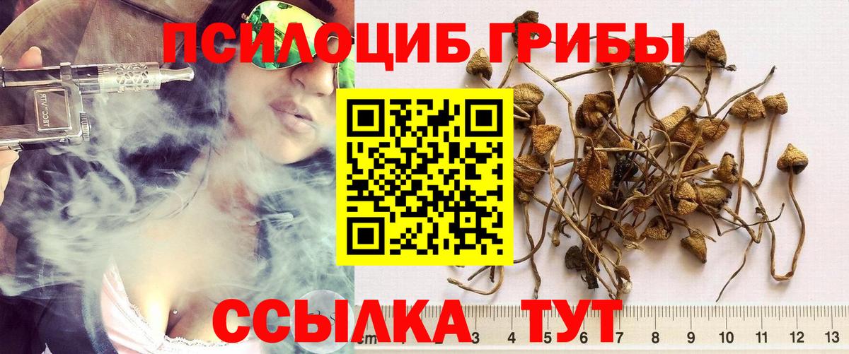 Галлюциногенные грибы Magic Shrooms Томск