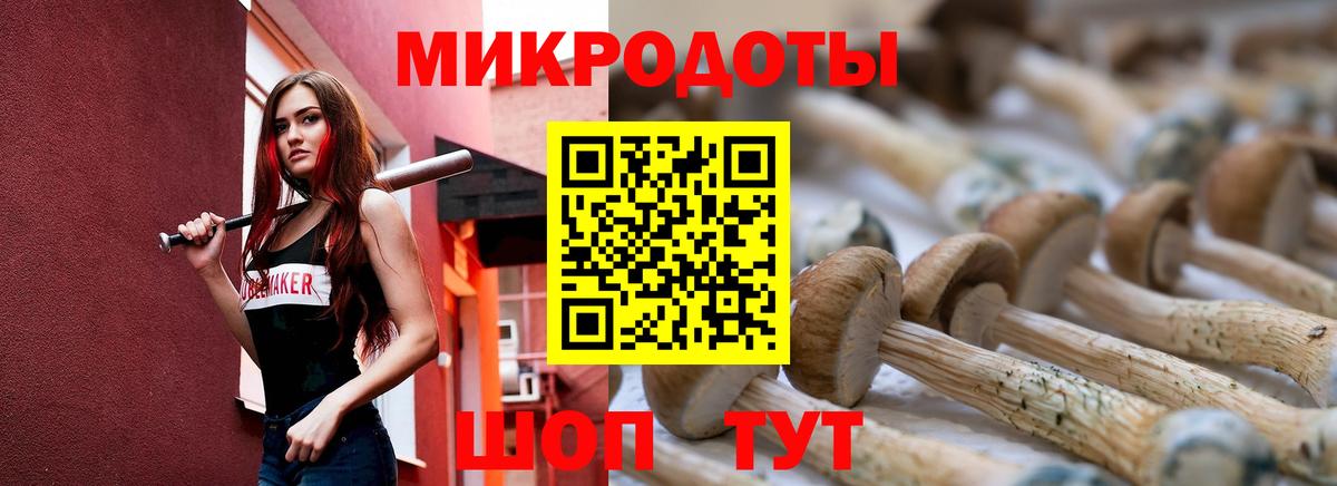 Псилоцибиновые грибы Cubensis  хочу наркоту  Томск  Вход с VPN 